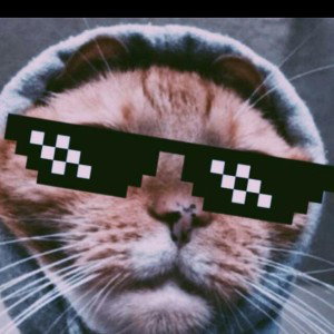 хз