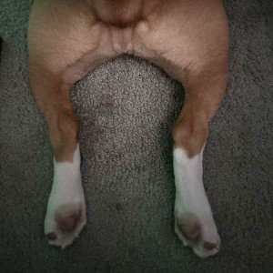 Ten Toes