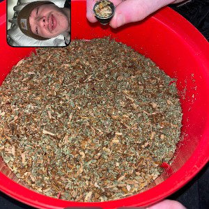 minky michael box heed diss (Ryan)