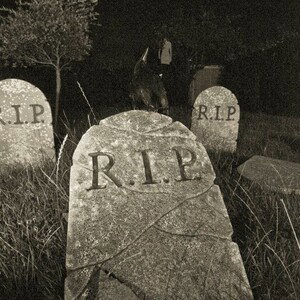 ¡KiLL YaLY R.I.P!