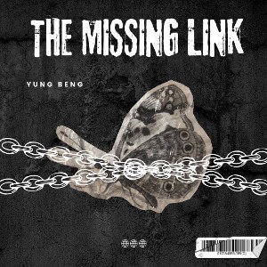 The Missing Link