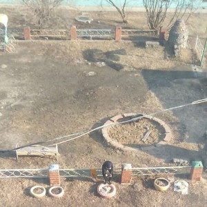 трахаю мишню