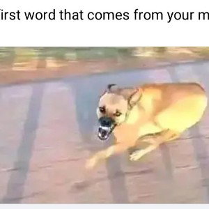 freestyle 