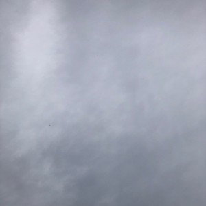 bile sky’s 