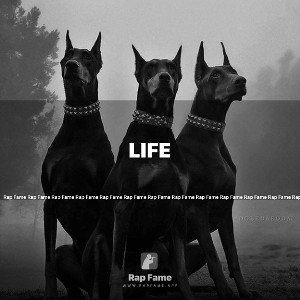 Life