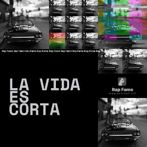 La vida es corta