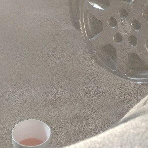 gone get killed 