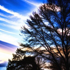 Refreshing beautiful 