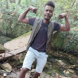 jungle
