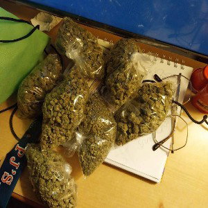 Smoke Dope Freestyle #1