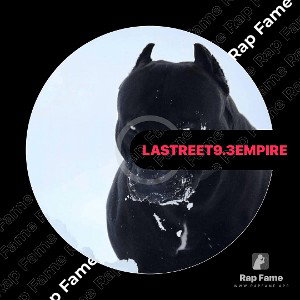 la street 9.3empire
