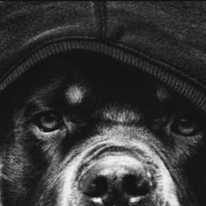 Catastrophic Flow