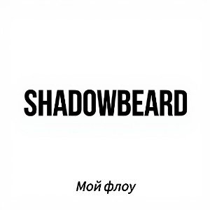 Мой флоу
