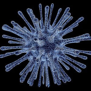 Virus