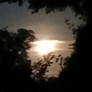 'sunshine"