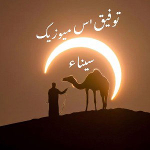 Tawfiq's Music- SINAI  توفيق-سيناء