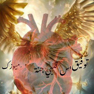 Tawfiq's music llGALBE JANNAHll Beats by FLIPTUNESMUSIC