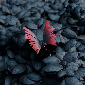 fallen