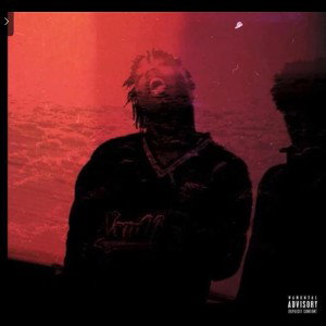 (none profit use) too much cash instrumental