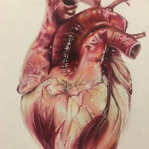 Heart in a bag