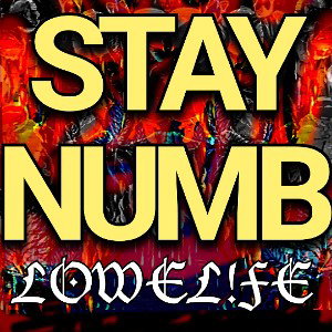BEST STAY NUMB