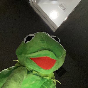 Kermit 