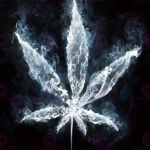 KG-Crazy Visions 