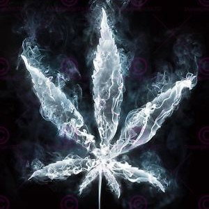 Jammin- HipHop/Rap Beat