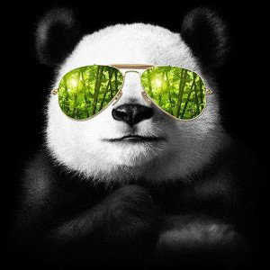🐼🐼🐼🐼🐼🐼🐼🐼🐼🐼🐼🐼🐼🐼🐼🐼🐼🐼🐼🐼🐼🐼🐼