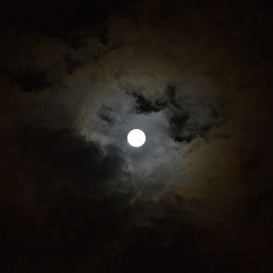LUCKY / TONIGHT (freestyle)
