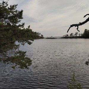 мои слёзы моя печаль