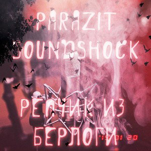 Рэпчик из берлоги ft. SoundShock