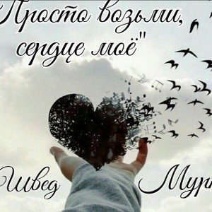 Просто возьми, сердце моë ft. Мурка