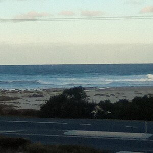 Tassie freestyle 