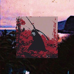 $in - Growth
