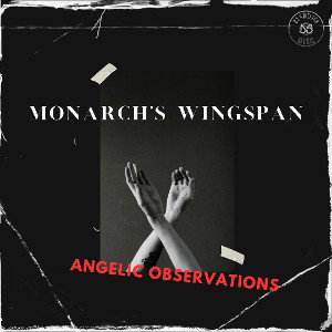 Monarchs Wingspan Angelic Observations