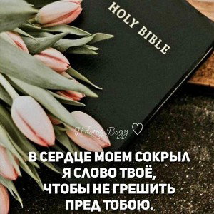 вечная книга. 