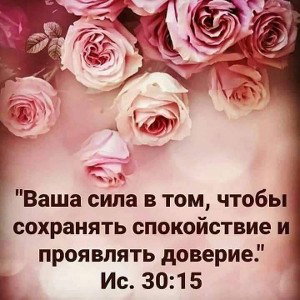 Элегия