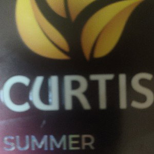 Curtis summer