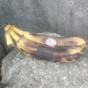 подворотня