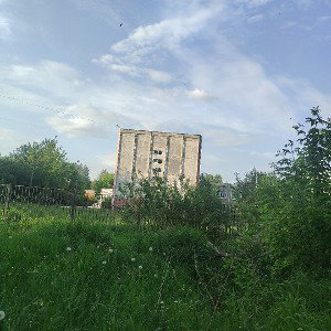 высшая категория 