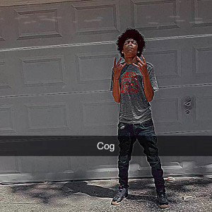 cog stand on top
