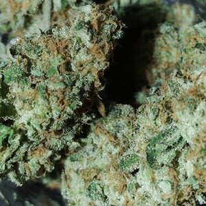 I Smoke Herbs