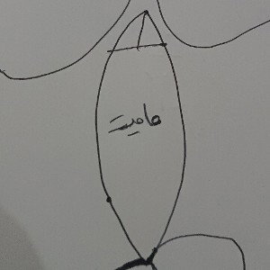 نام اثر مامیت