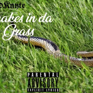 Snakes in da Grass