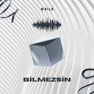 Bilmezsin 