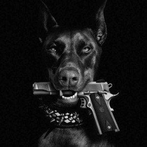 perro bandolero 