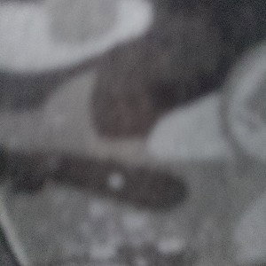Shake