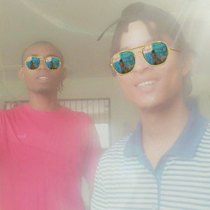 ensayo 2