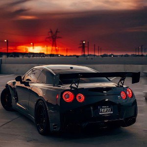 Scorpion 